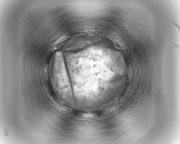 X0000093170360200710241044