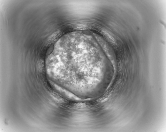 X0000093170361200710241044