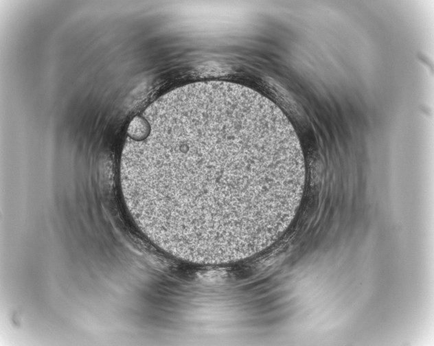 X0000093170362200710241044