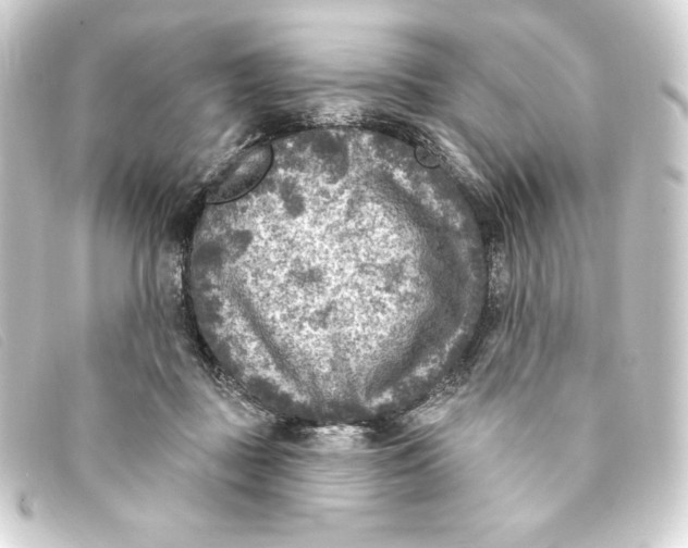 X0000093170363200710241044