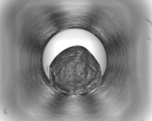 X0000093170364200710241044