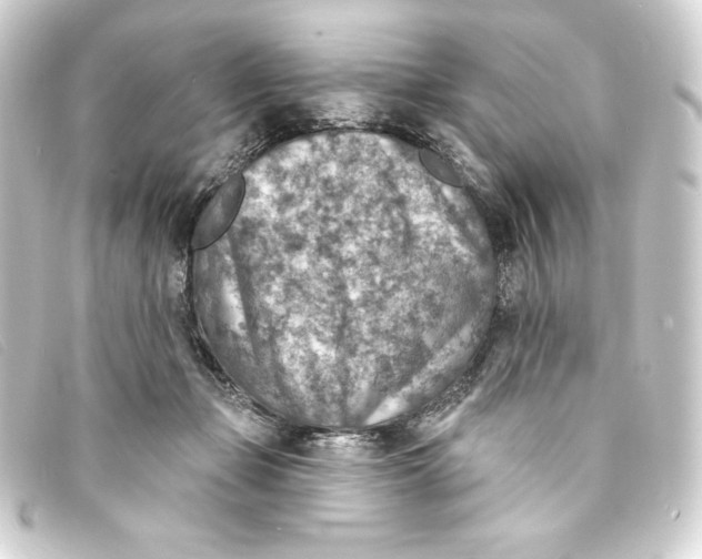 X0000093170365200710241044