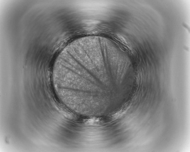 X0000093170366200710241044