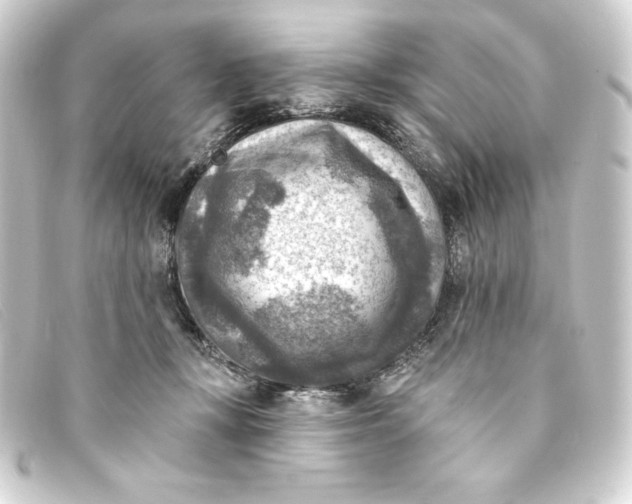 X0000093170367200710241044