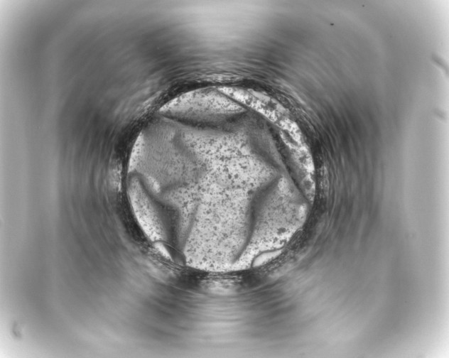 X0000093170368200710241044