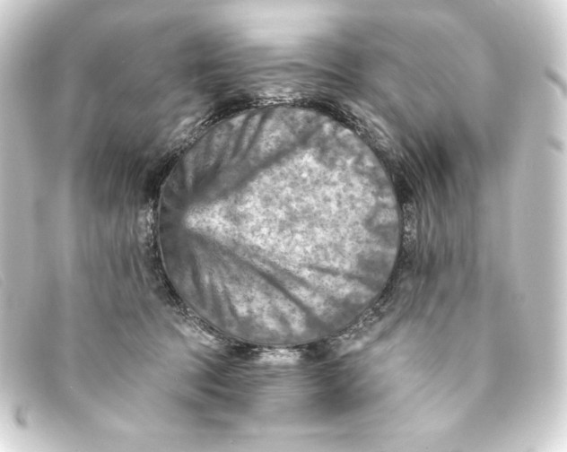 X0000093170369200710241044