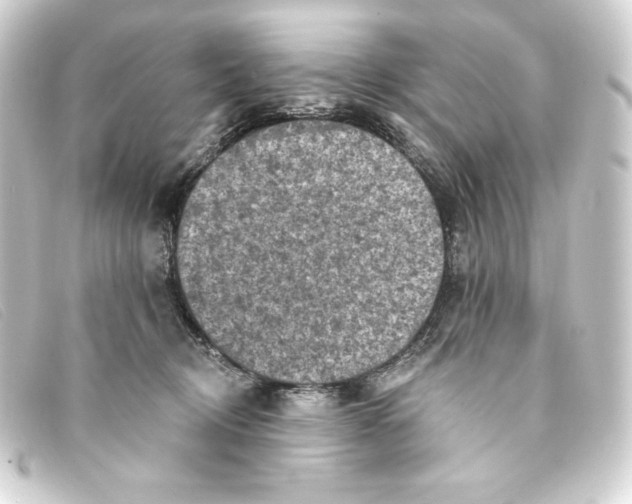 X0000093170370200710241044