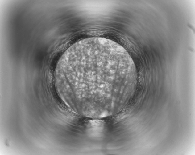 X0000093170371200710241044