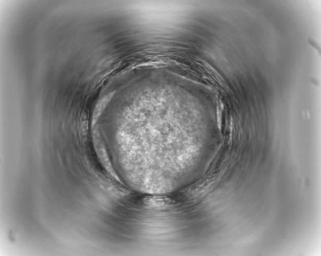 X0000093170372200710241044