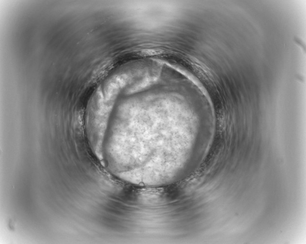 X0000093170373200710241044