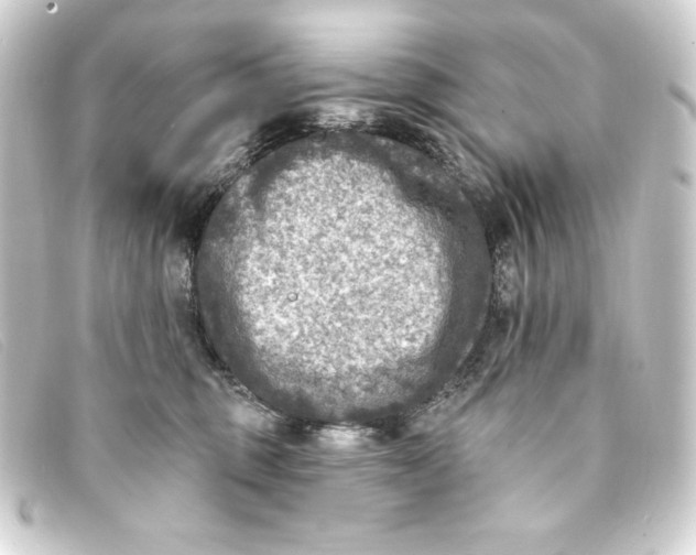 X0000093170375200710241044