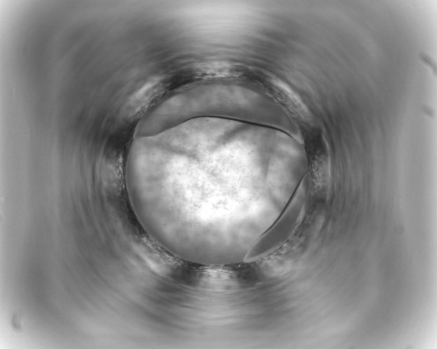 X0000093170376200710241045