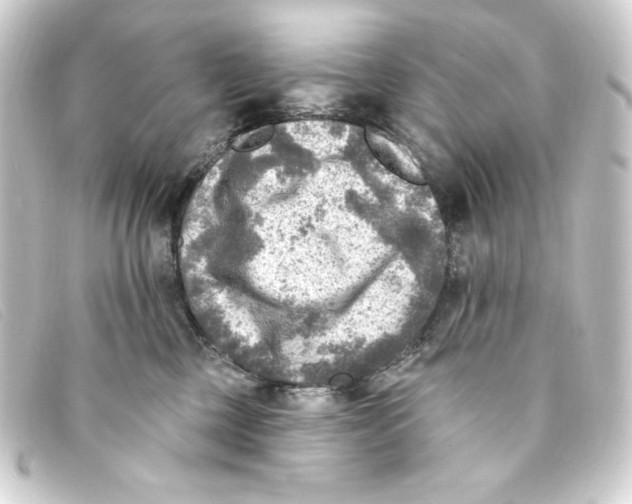 X0000093170377200710241045