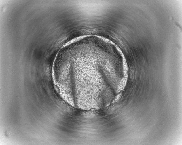 X0000093170378200710241045