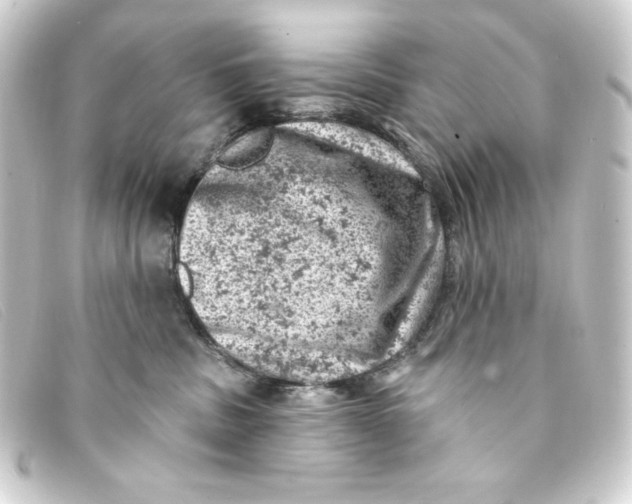 X0000093170379200710241045