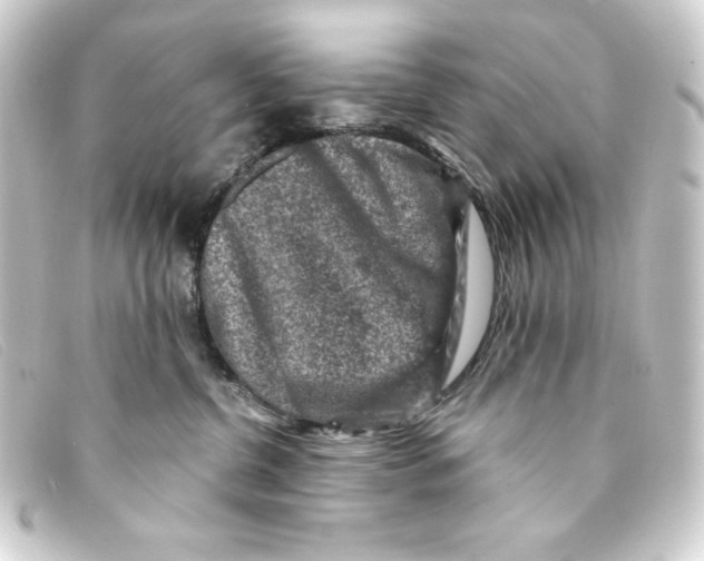 X0000093170380200710241045