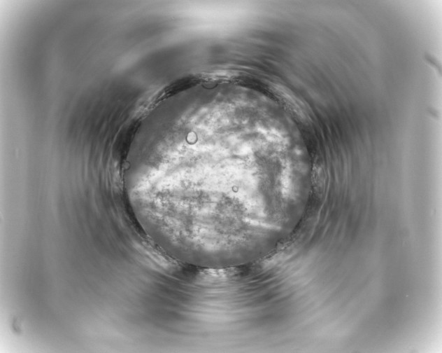 X0000093170381200710241045