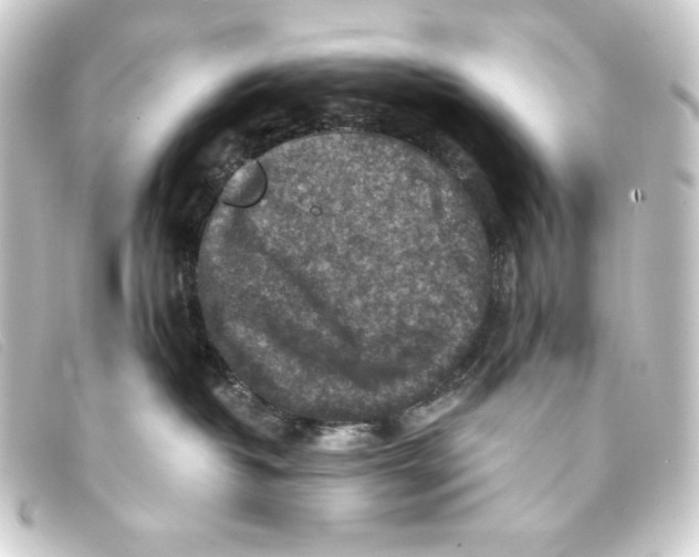 X0000093170382200710241045