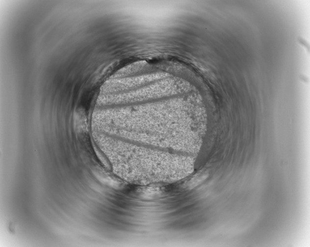 X0000093170384200710241045