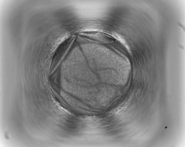 X0000093170385200710241044