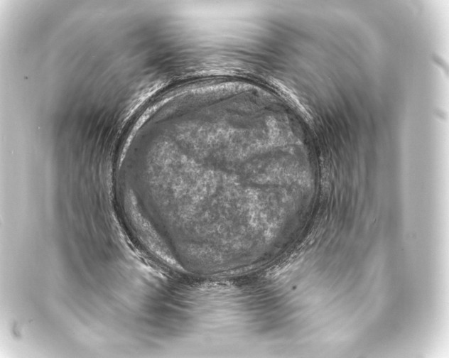 X0000093170386200710241044