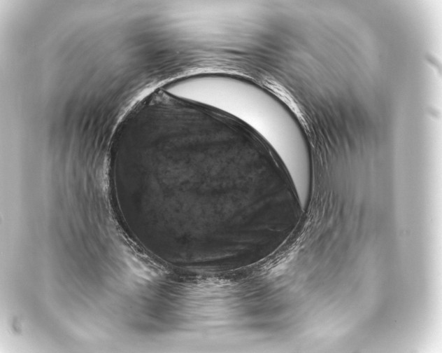 X0000093170387200710241044