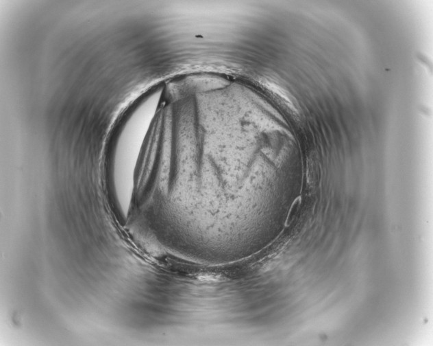 X0000093170388200710241044