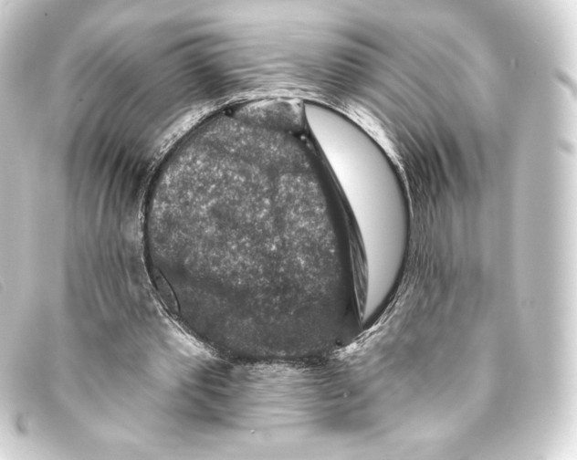 X0000093170389200710241044