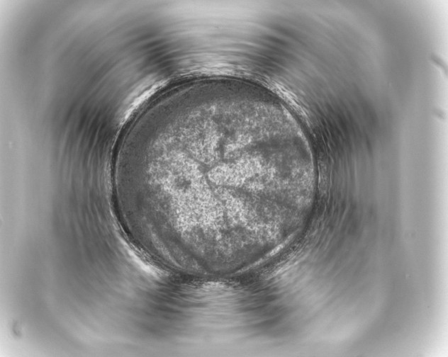 X0000093170390200710241044