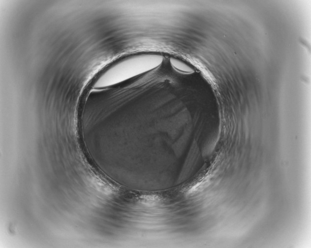 X0000093170391200710241044