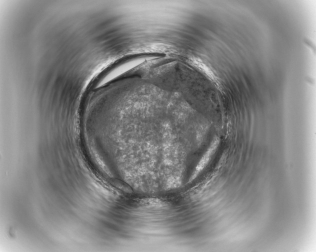 X0000093170392200710241044