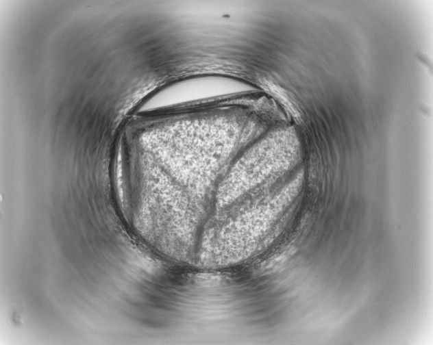 X0000093170394200710241044