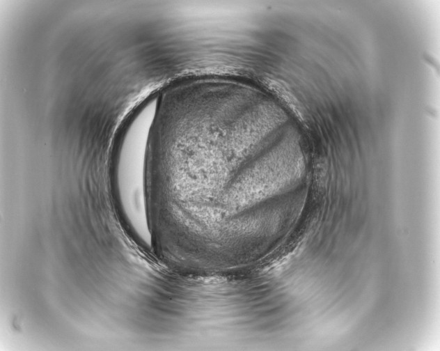 X0000093170395200710241044