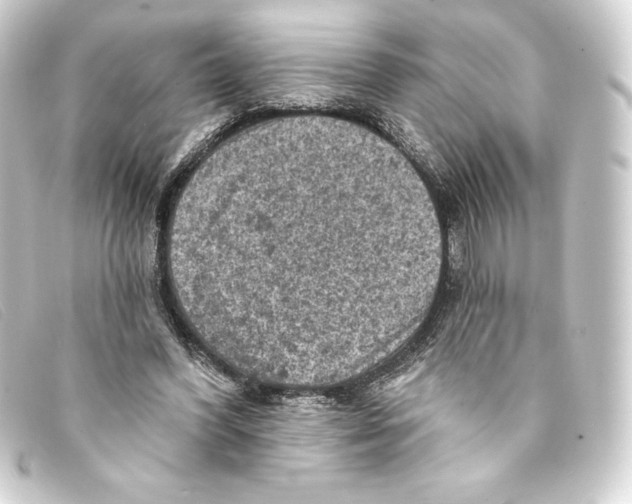 X0000093170396200710241044