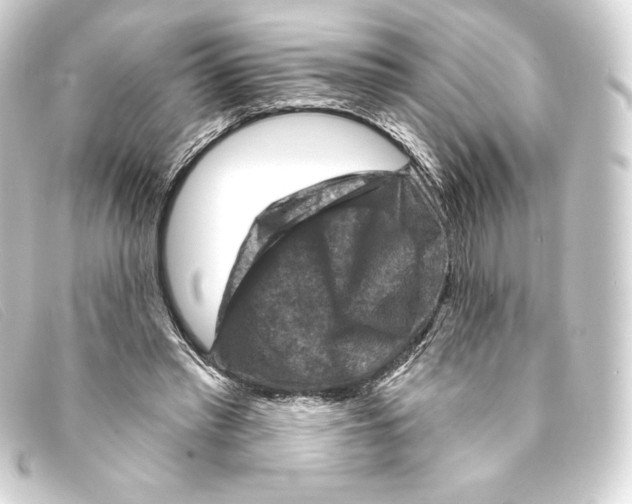 X0000093170397200710241044