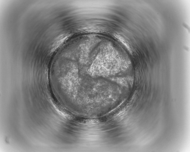 X0000093170398200710241044