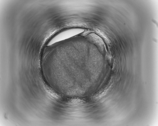 X0000093170399200710241044