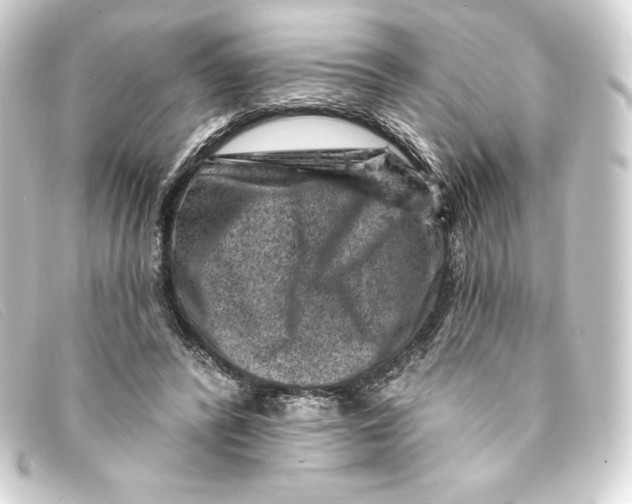 X0000093170400200710241044