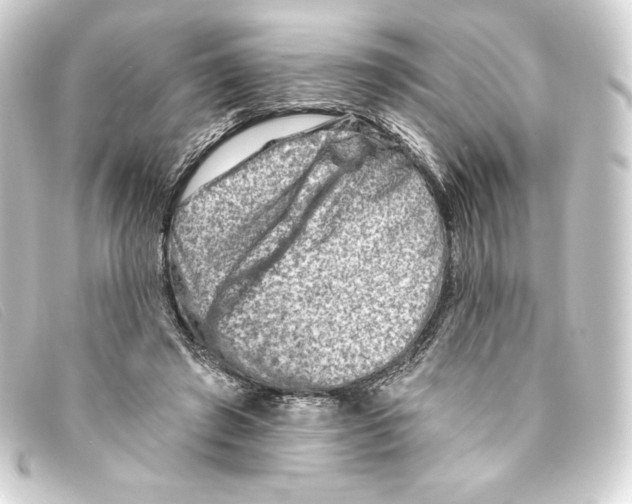 X0000093170401200710241044