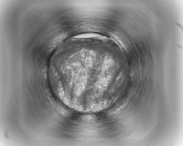 X0000093170402200710241044