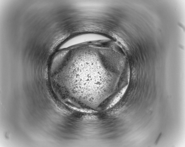 X0000093170403200710241044