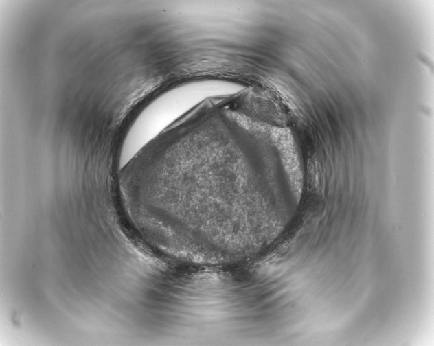 X0000093170404200710241044