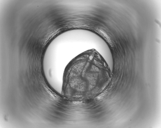 X0000093170405200710241044