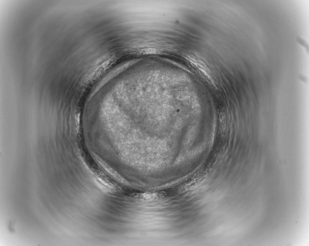 X0000093170406200710241044