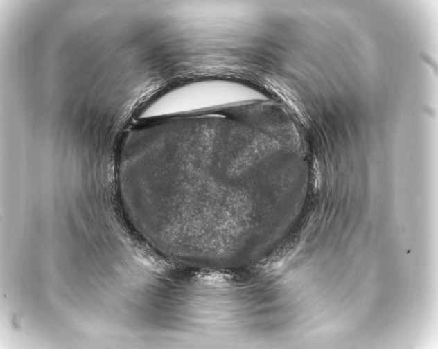 X0000093170407200710241044