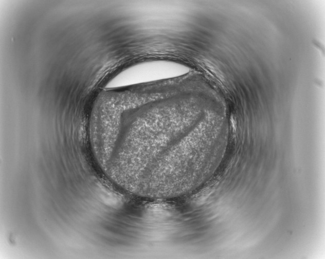 X0000093170408200710241044