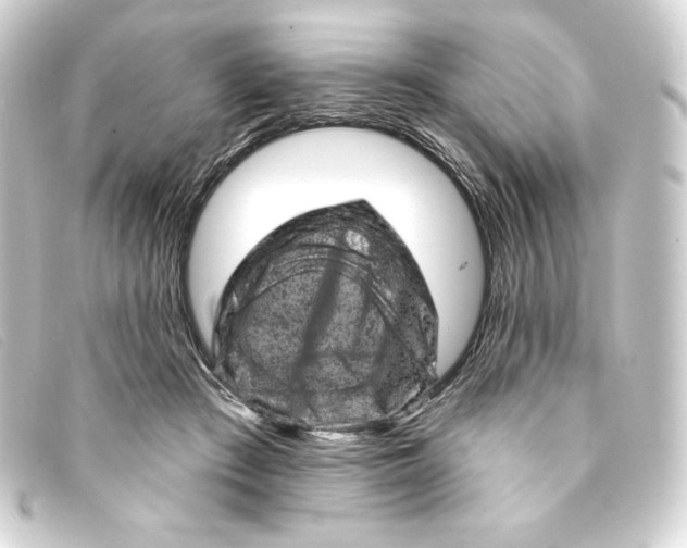 X0000093170409200710241044