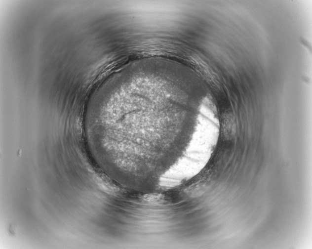 X0000093170410200710241044