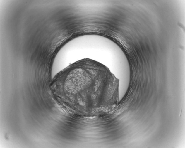 X0000093170411200710241043