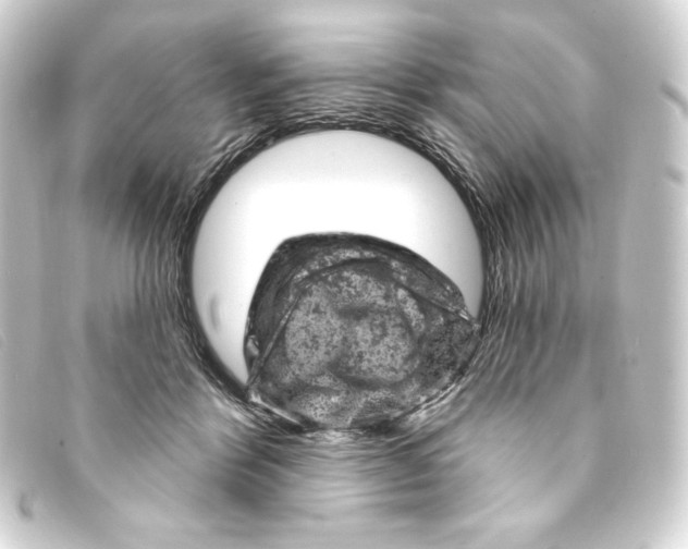 X0000093170412200710241043